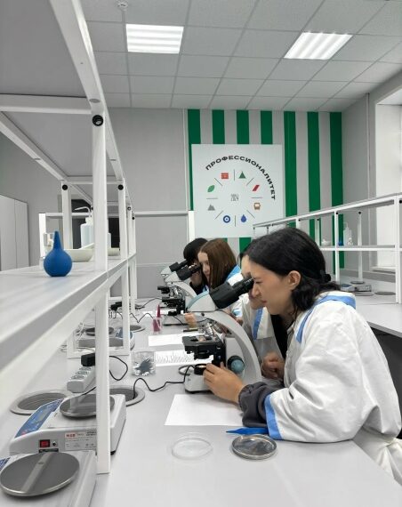 Красота под микроскопом: взгляд изнутри